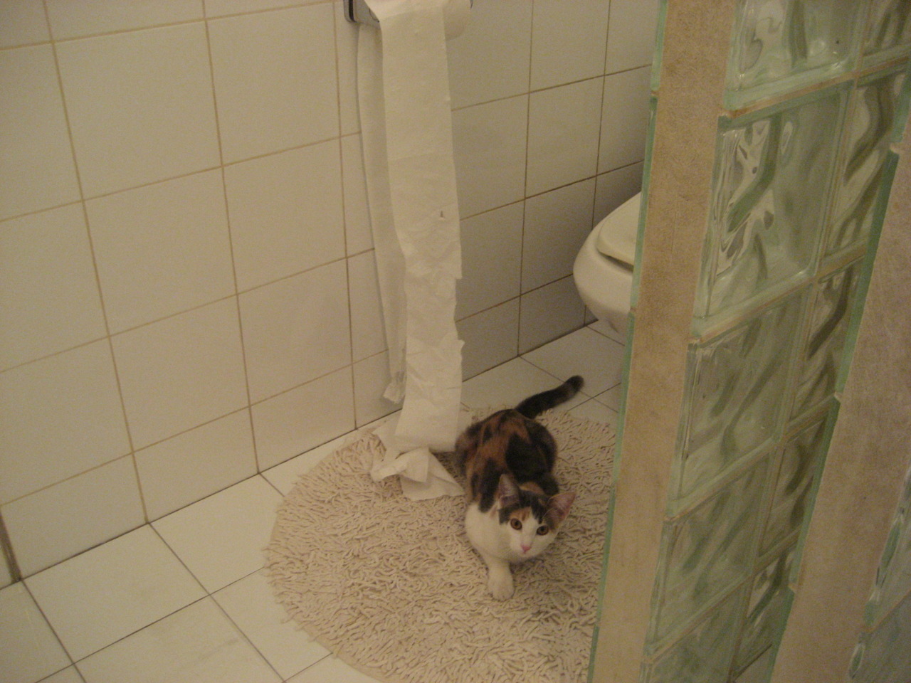 开云体育在线赛事直播-_勇士豪取五连胜，三分雨持续飘洒_，勇士三节120分