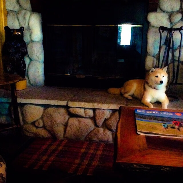 kaiyun 开云体育-_全国青少年网球巡回赛：培养未来公开赛明星_，全国青少年网球团体锦标赛