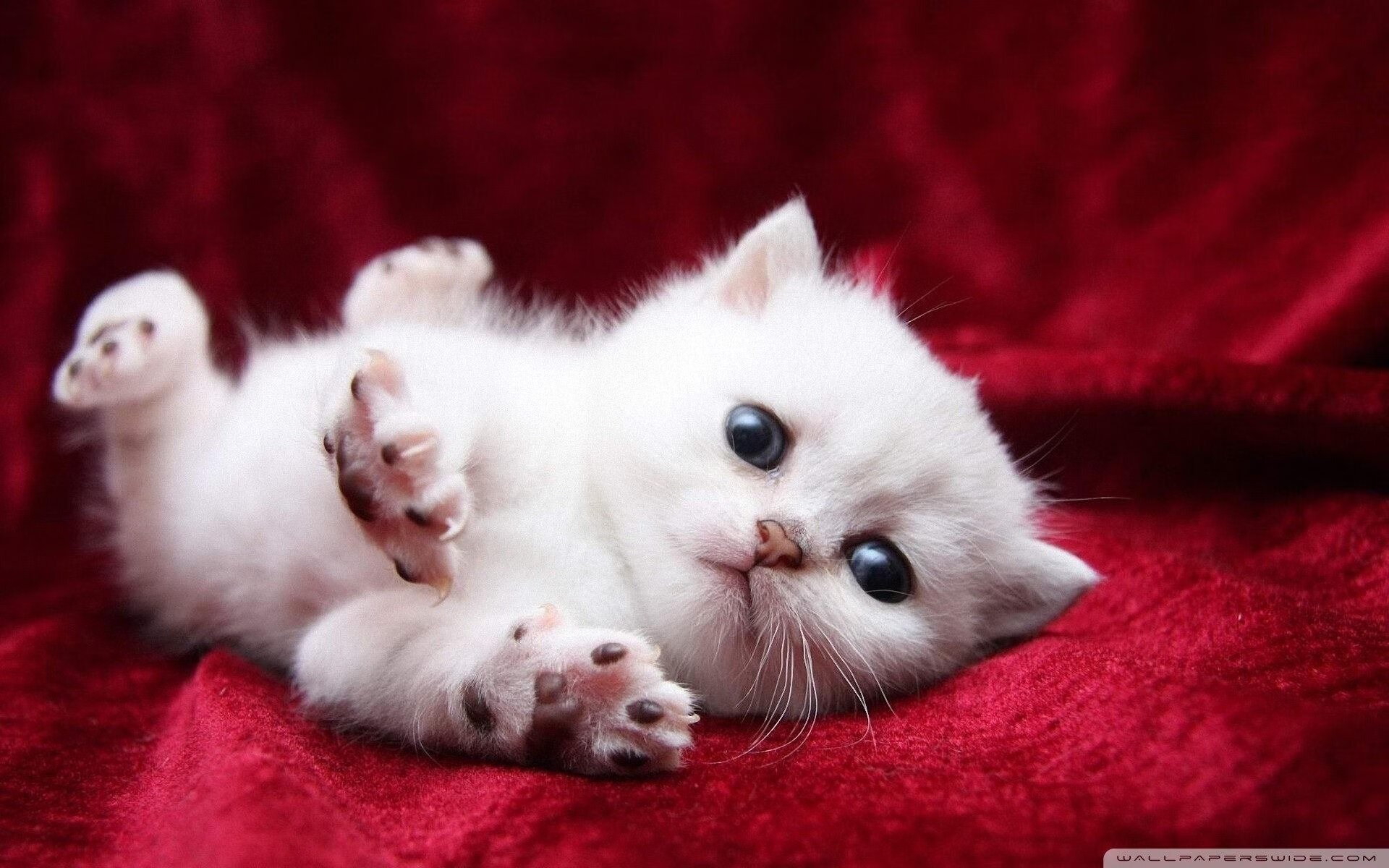 开云体育视频直播-_快船迎接挑战，战局紧张激烈_，快船对战