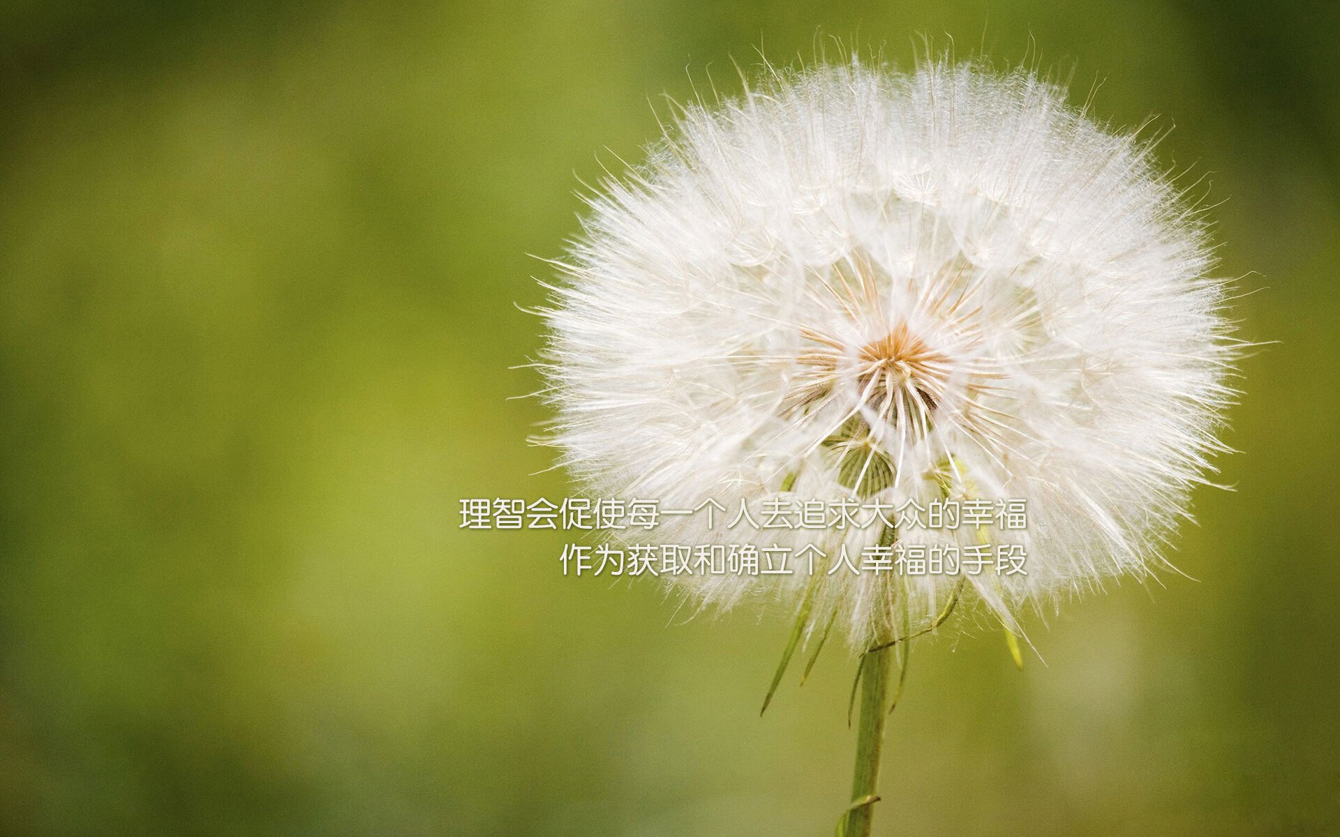 开云平台-“天空之城：高空赛段的速度激情”，天空之城838米