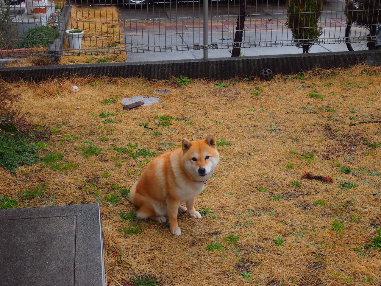 KAIYUNAPP-“篮球+健康”全民健身活动广受欢迎，助推体育产业升级，全民健身篮球场