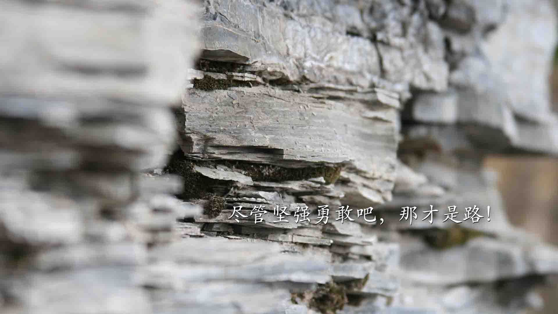 开云·体育官网APP下载-“路见不平”——车队与车手面对艰难挑战的坚韧精神