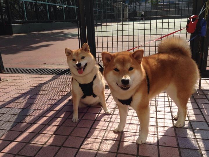 开云-《电竞场景搭建：打造最炫比赛环境》，电竞场景图