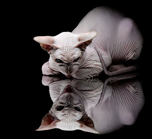 开云kaiyun-中国篮球国际交流合作持续深化，提升行业国际化水平，国际篮联合作伙伴