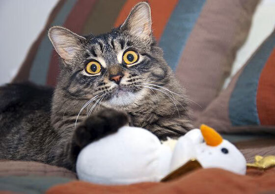 Kaiyun(中国)开云-今年联盟助攻榜：谁的传球最“精彩”令人陶醉？，英雄联盟职业联赛助攻榜