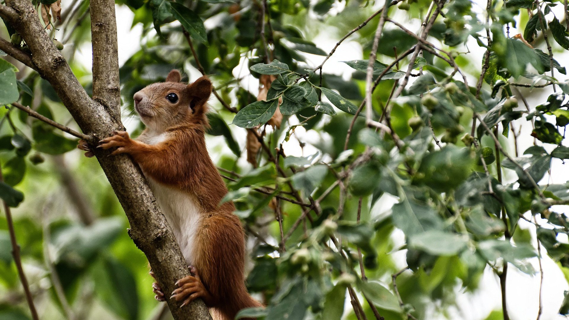KAIYUN 中国大陆-台球世界联赛：年轻力量崭露头角，台球世界锦标赛赛程