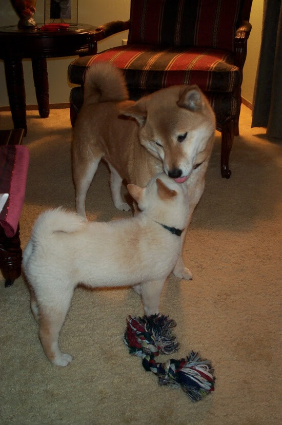 开云全站-赛场外：粉丝文化与粉丝互动新潮流，赛场啥意思