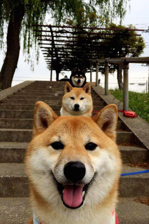 kaiyun 开云体育-游泳世锦赛中国接力队夺冠，中国游泳接力世界纪录视频