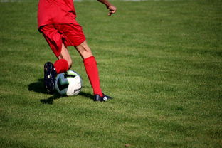 开云官方网站-中国篮球教练员职业发展规划及培训体系，篮球教练员职业生涯规划