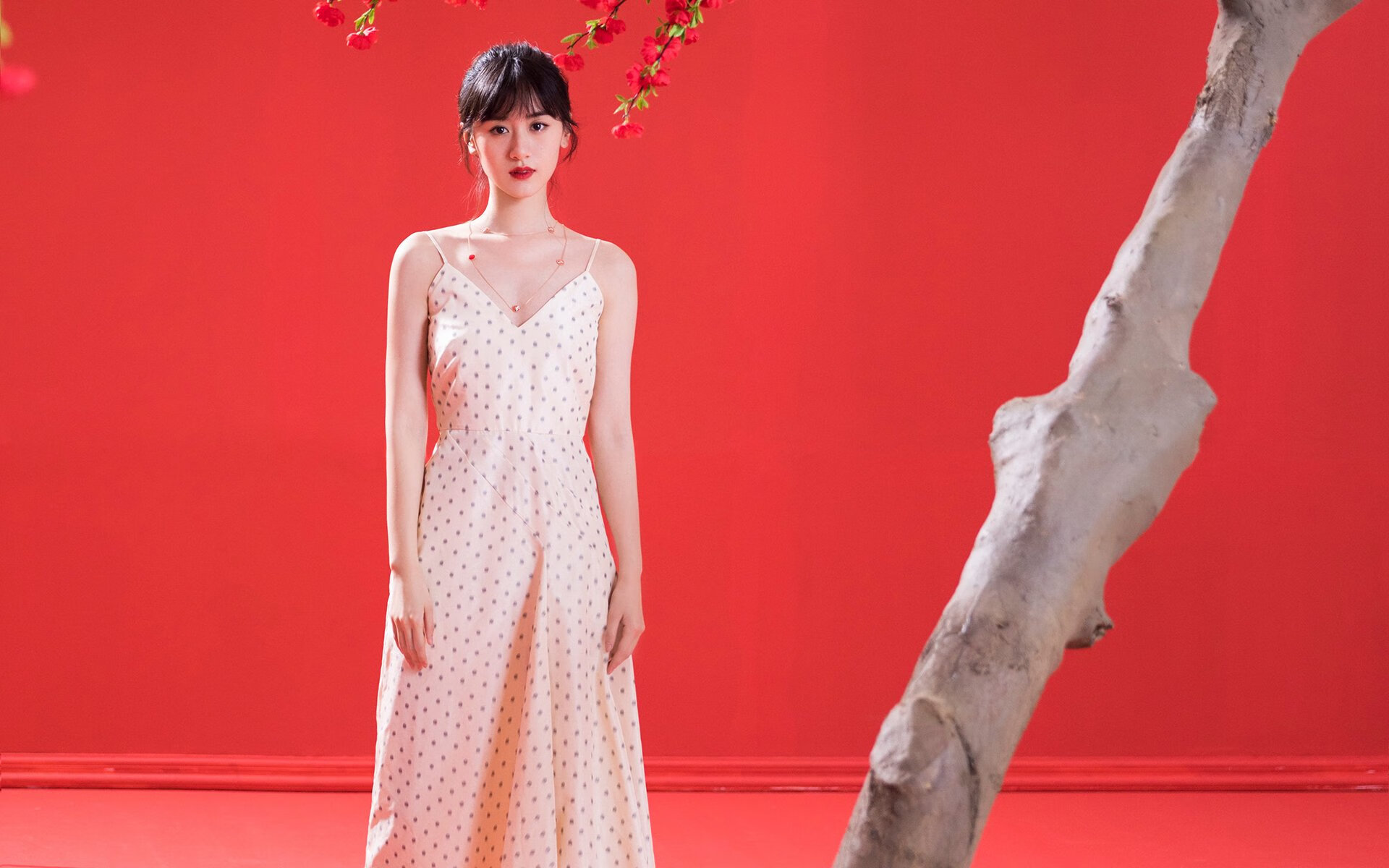 开云-自由式滑雪营养补给研究成果首次发布，自由式滑雪资料