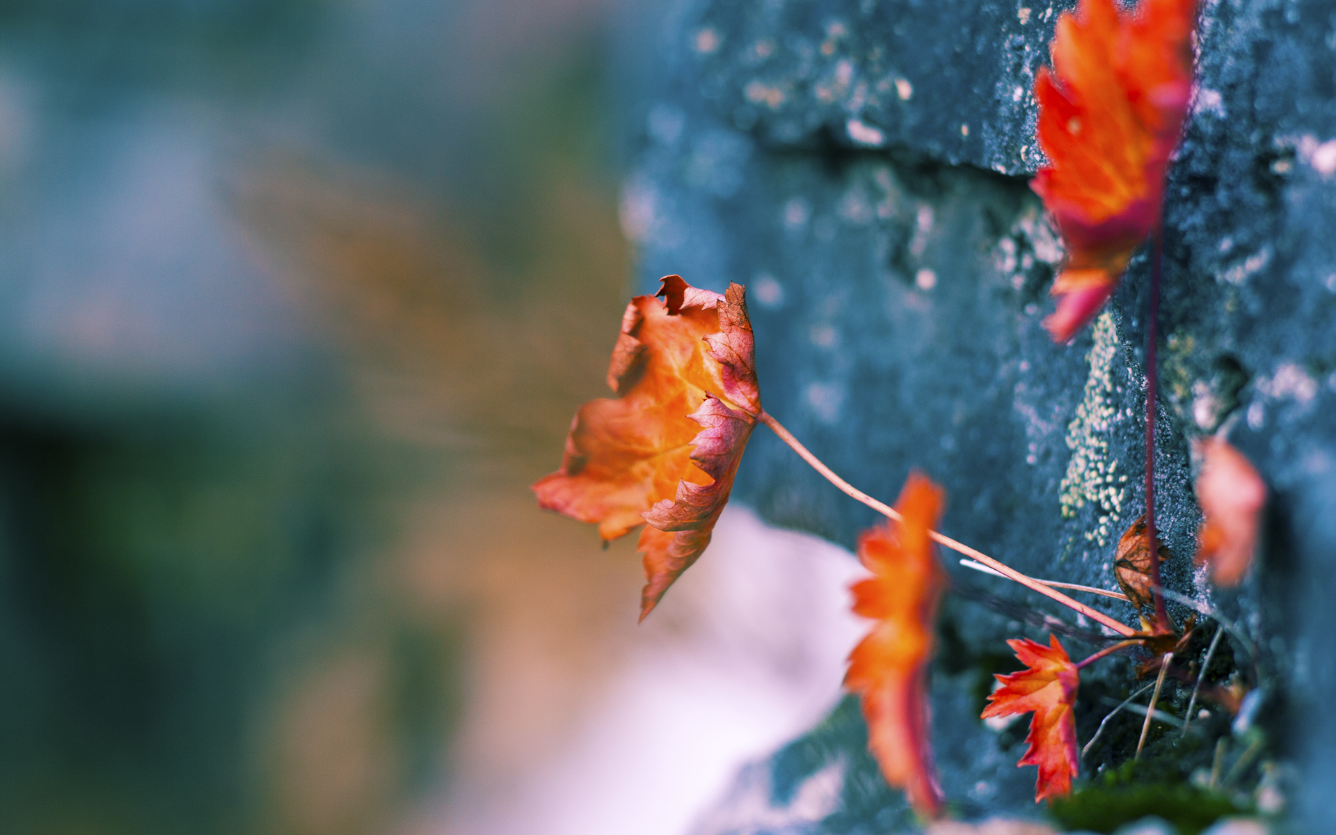 开云kaiyun-门将指挥防线成为额外战术点，门将防守站位是什么