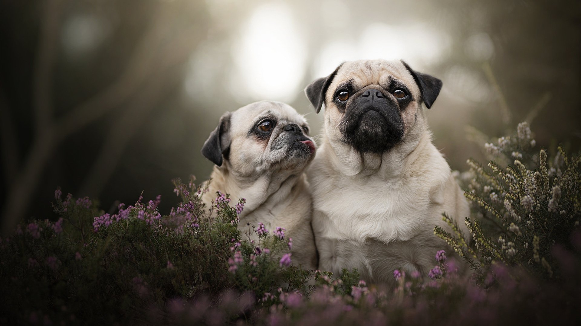 开云首页登录-回顾过往经典比赛揭示战术演进过程与队伍成长轨迹，比赛战略战术